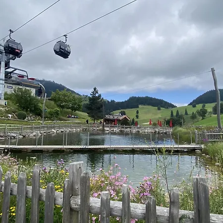 Haslau Large Chalet *