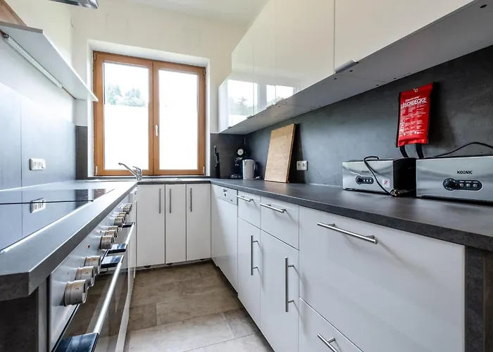 Alpesi faház Haslau Large *